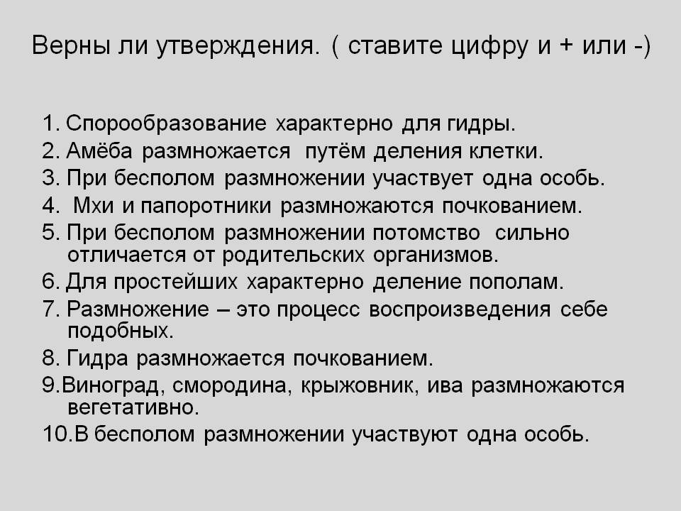 Код blacksprut blacksput1 com